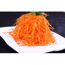 Exportation de qualité normale Nouvelle carotte de récolte